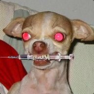 MikeDog