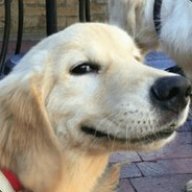 Best Boi