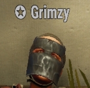 Grimzy