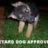 Doggy