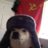 Comrade_Corgi